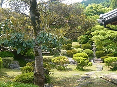 西ノ原03-2