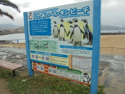 ペンギン水族館03