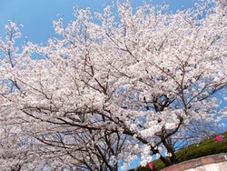 中尾城公園02-4