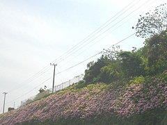 西海橋公園