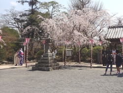 大村公園03-5