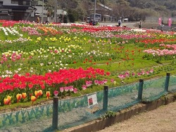 安保地区01