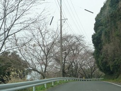 和三郎02