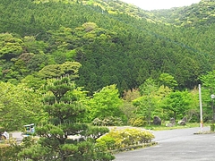 萱瀬付近02-4