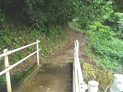 三川町02-4