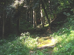 七面山妙光寺02-3