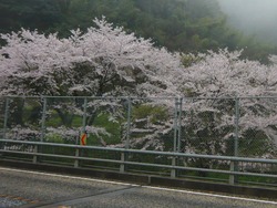 芒塚01-1