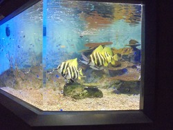 ペンギン水族館02-4