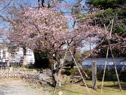 諫早公園01-4