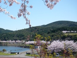 伊佐ノ浦公園02-8