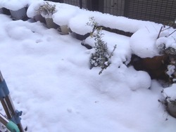 雪01