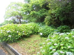 神の島公園02-9