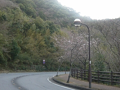 ºù03