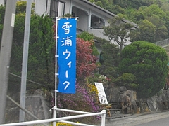 雪の浦01
