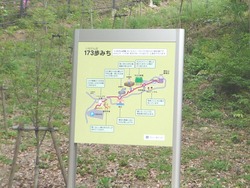 稲佐山04