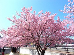 久原公園02-4
