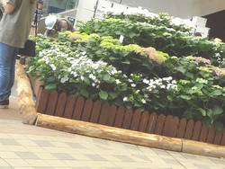 あいぱく05
