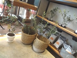 浜町02-4