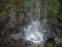 鳴滝山観音寺09-6