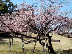 諫早公園01-1