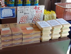 雲仙02-5