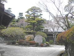古賀03-2