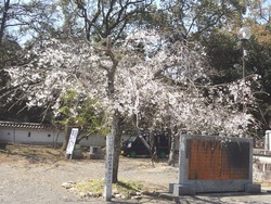 大村公園03-3