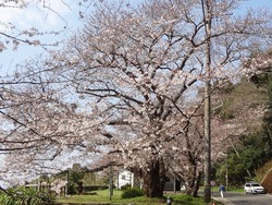 和三郎公園01-1