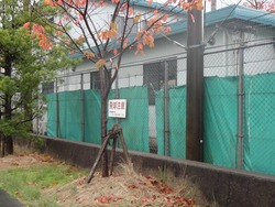 淵町02-6