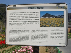 安保地区04