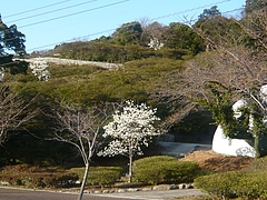 ºù03-4