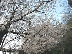 和三郎公園02-2