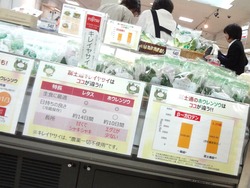 長崎浜屋02