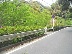 新戸町公園01
