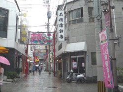 新地01-5