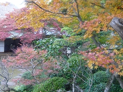 心田菴04-4
