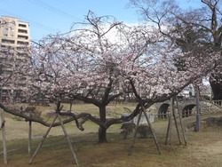 諫早公園01-4