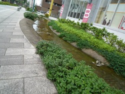 銭座01-3
