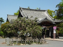大村公園02