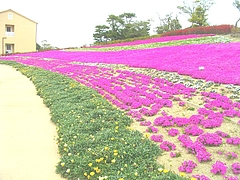 あぐり0409-04