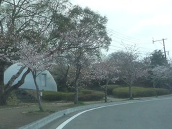 稲佐山01-3