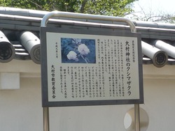 大村公園02-3