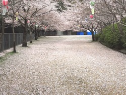 鹿尾川公園02-2
