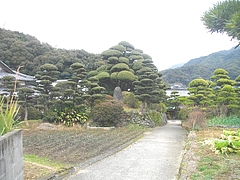 古賀04-2