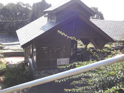 亜熱帯植物園03-8