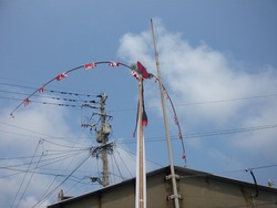 野母浦02-4