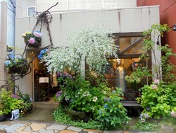浜町01