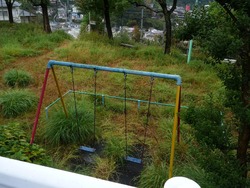 迫公園01-2
