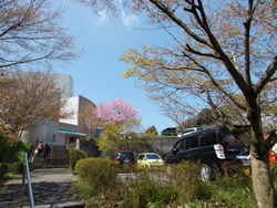 中尾城公園01