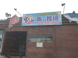 お買い物04-3